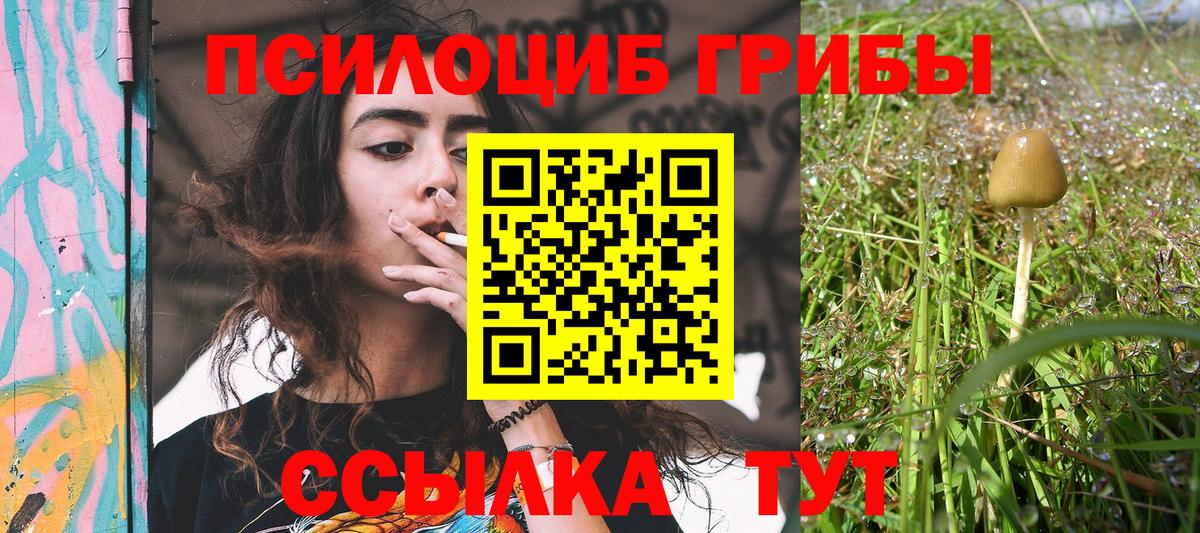 Псилоцибиновые грибы Magic Shrooms  Вход с VPN  Череповец 