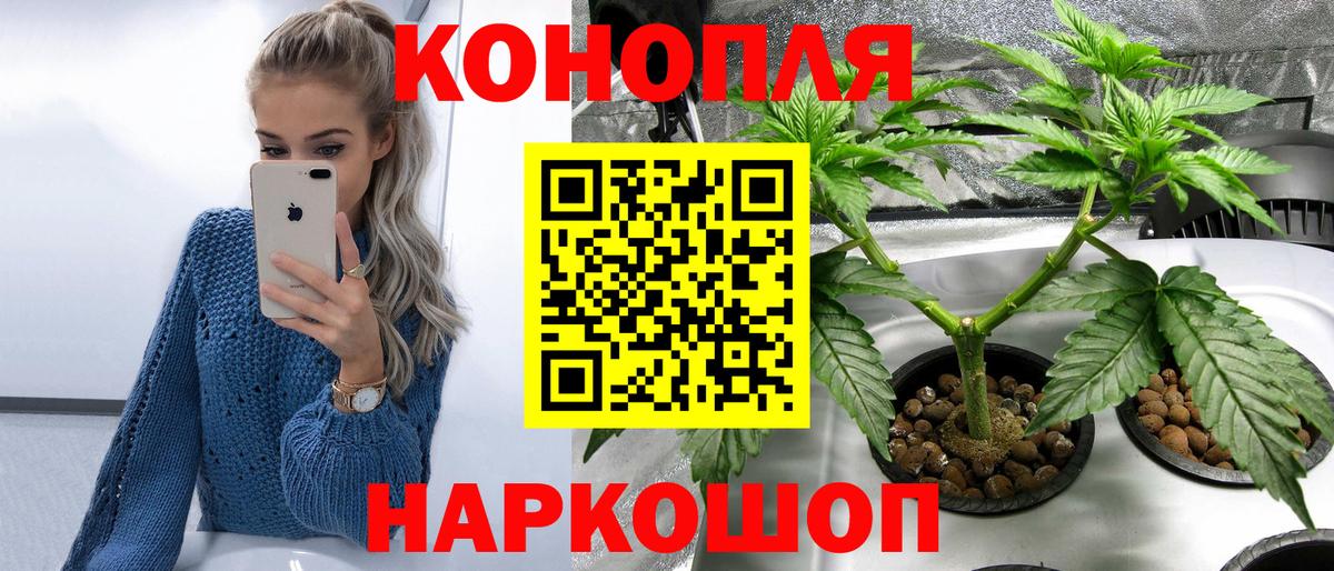 МАРИХУАНА план Череповец